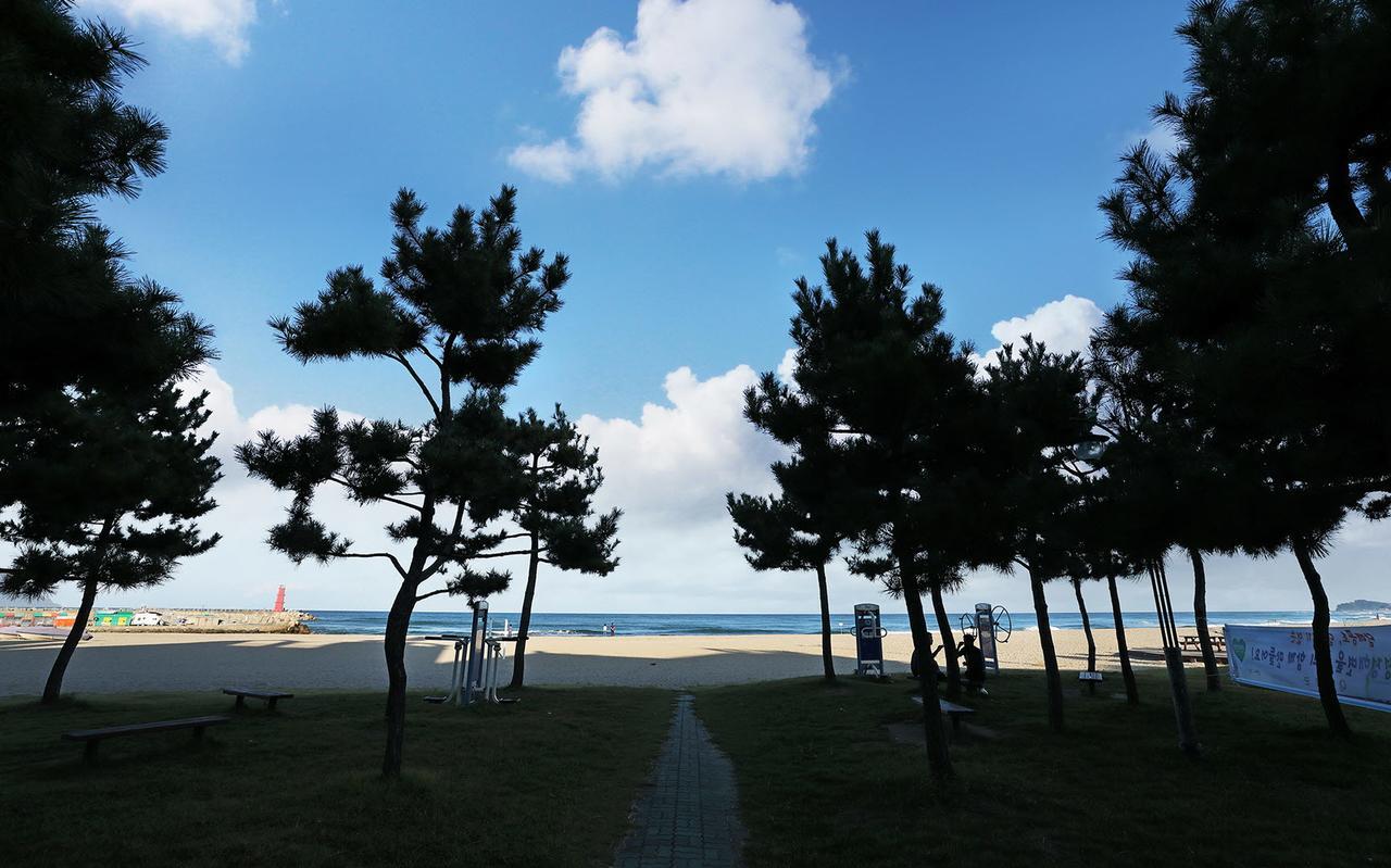 Naksan World Beach Yangyang Exteriör bild